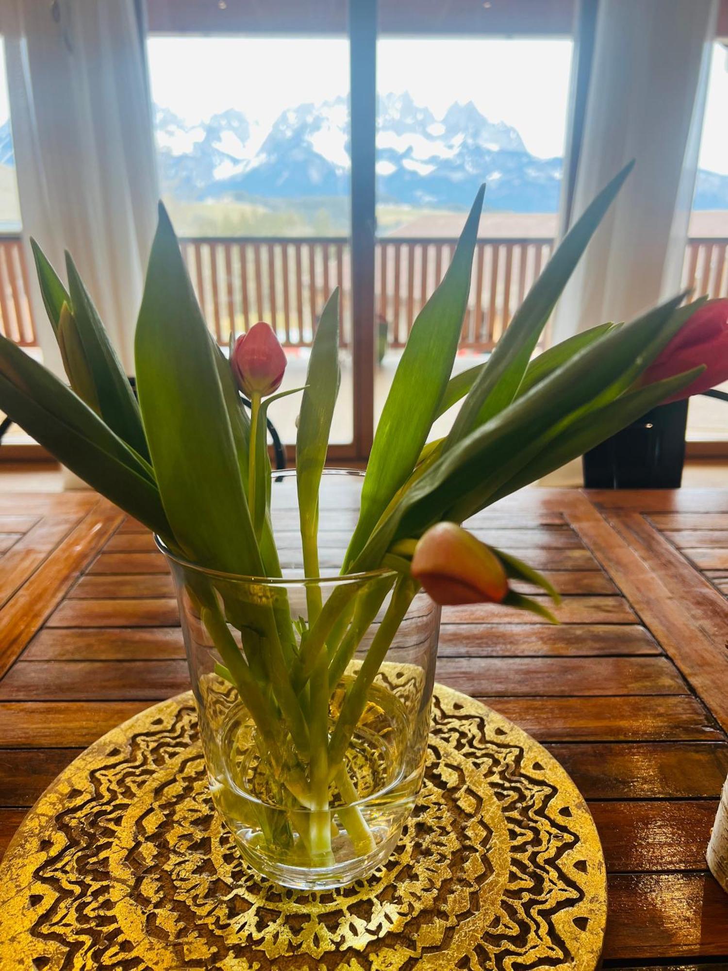 Mountain Vista - Bio Yoga Hof Appartement Kitzbühel Buitenkant foto